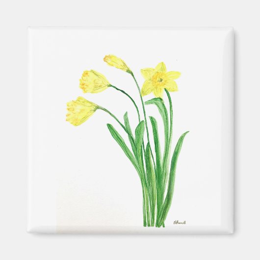 Aimant Aquarelle fleurie de printemps jaune jonquilles fl (Devant)