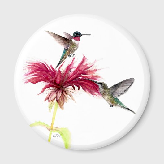 Aimant Aquarelle florale des colibris