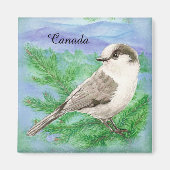 Aimant Aquarelle Gris, Gris ou Canada Jay Bird Custom (Devant)
