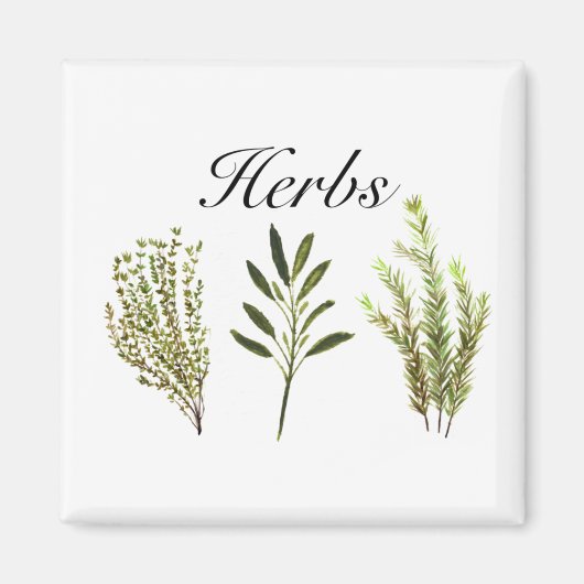 Aimant Aquarelle Herbes Thyme Rosemary Sage Plante Pot (Devant)
