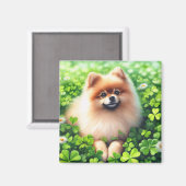Aimant Aquarelle Pomeranian Shamrock vert (Recto/Verso)