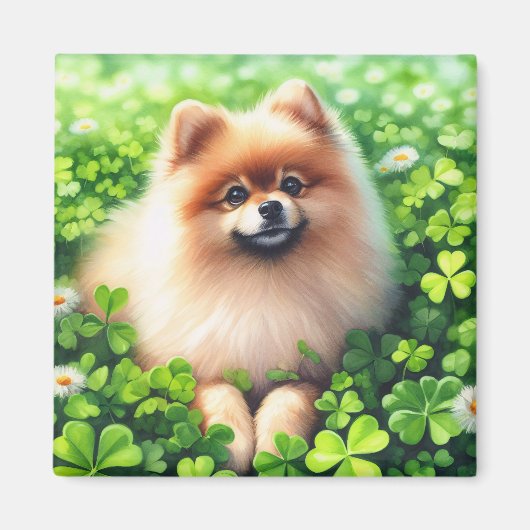 Aimant Aquarelle Pomeranian Shamrock vert (Devant)