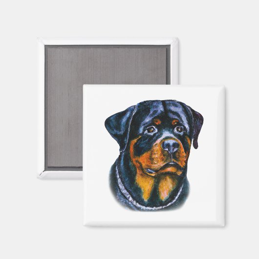 Aimant Aquarelle Rottweiler (Recto/Verso)