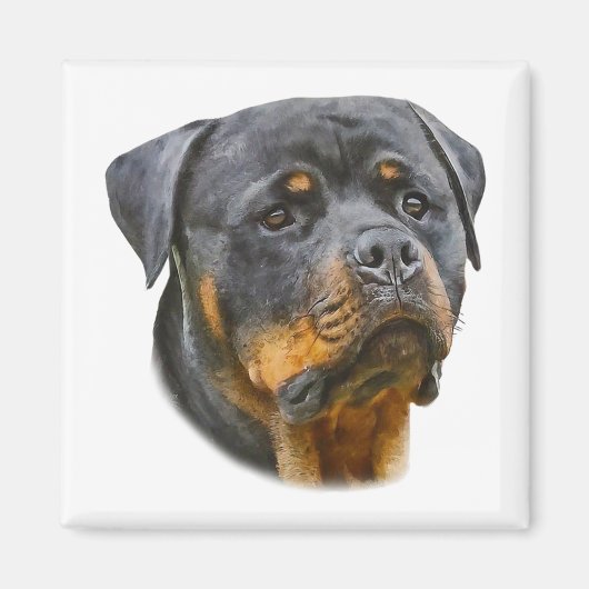 Aimant Aquarelle Rottweiler (Devant)