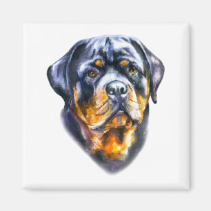 Aimant Aquarelle Rottweiler