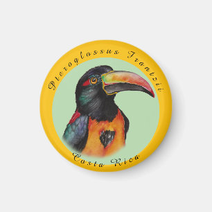 Aimant Aquarelle toucan
