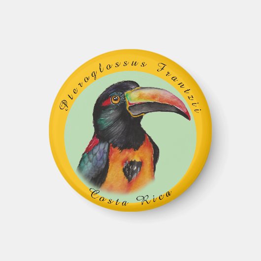 Aimant Aquarelle toucan (Devant)