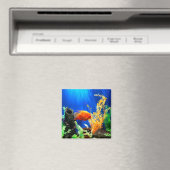 Aimant Aquarium aquarium aquarium (In Situ (Lave-vaisselle))