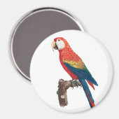Aimant Ara Canga Parrot (Recto/Verso)