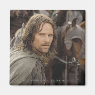 Aimant Aragorn avec le cheval