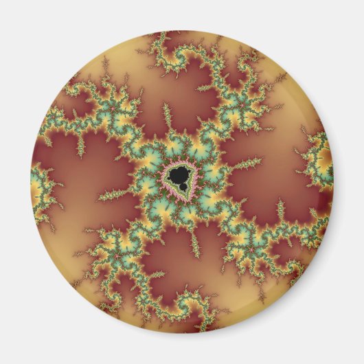 Aimant Araignée asiatique - Fractale (Devant)