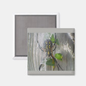 Aimant Araignée Banane (Recto/Verso)