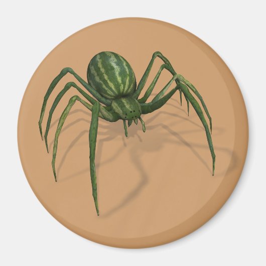 Aimant Araignée de pastèque rare (Devant)