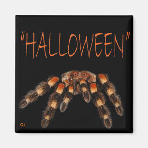 Aimant Araignée d'Halloween