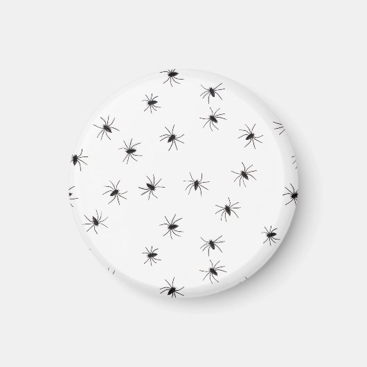 Aimant Araignées (Devant)