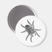 Aimant Aranea Avicularia, Black Cuban Spider (Recto/Verso)