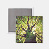 Aimant Arborescence (Recto/Verso)