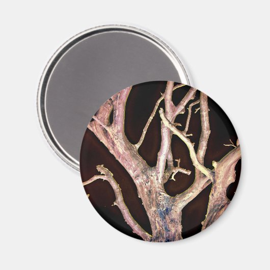 AIMANT ARBRE (Recto/Verso)