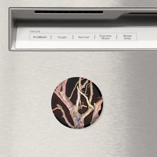 AIMANT ARBRE (In Situ (Lave-vaisselle))