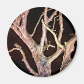 AIMANT ARBRE (Devant)