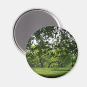 Aimant Arbre (Recto/Verso)