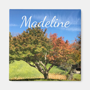 Aimant Arbre à érable coloré en automne