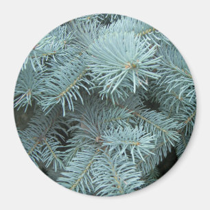 Aimant Arbre à feuillage persistant d'épinette bleue