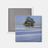 Aimant Arbre dans le paysage couvert de neige (Recto/Verso)