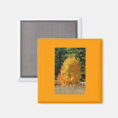 Aimant Arbre d'automne (Recto/Verso)