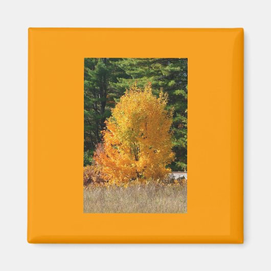 Aimant Arbre d'automne (Devant)