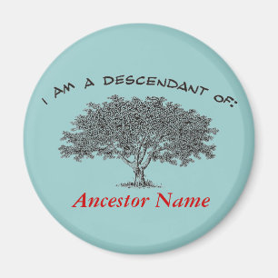 Aimant - arbre de généalogie