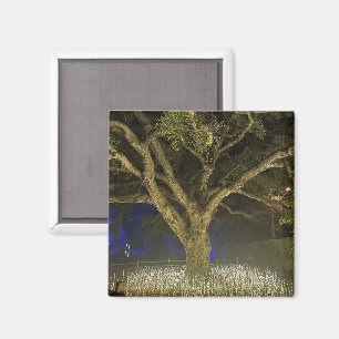 Aimant Arbre de Lumières