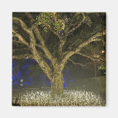 Aimant Arbre de Lumières (Devant)