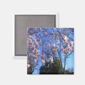 Aimant Arbre de Magnolia...... (Recto/Verso)