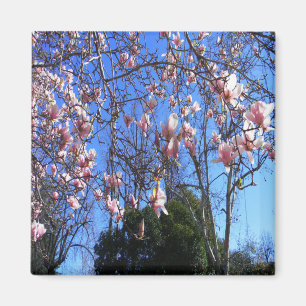 Aimant Arbre de Magnolia......