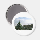 Aimant Arbre de Noël contre les rochers de plage (Recto/Verso)