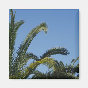 Aimant Arbre de palme