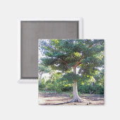 Aimant Arbre de Sagesse-aimant (Recto/Verso)