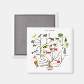 Aimant Arbre De Vie (Recto/Verso)