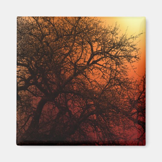 Aimant Arbre d'hiver Silhouette (Devant)