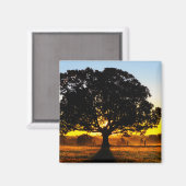 Aimant Arbre du matin (Recto/Verso)