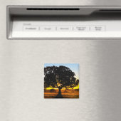 Aimant Arbre du matin (In Situ (Lave-vaisselle))