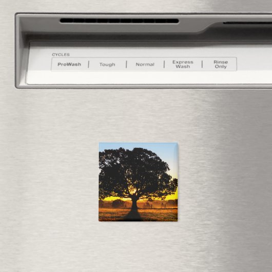 Aimant Arbre du matin (In Situ (Lave-vaisselle))