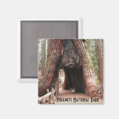 Aimant Arbre du tunnel - Yosemite (Recto/Verso)