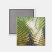 Aimant Arbre du voyageur- Guadeloupe (Recto/Verso)