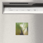 Aimant Arbre du voyageur- Guadeloupe (In Situ (Lave-vaisselle))