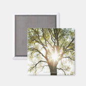 Aimant Arbre éclairé (Recto/Verso)