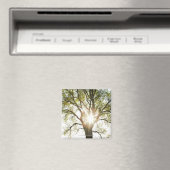 Aimant Arbre éclairé (In Situ (Lave-vaisselle))