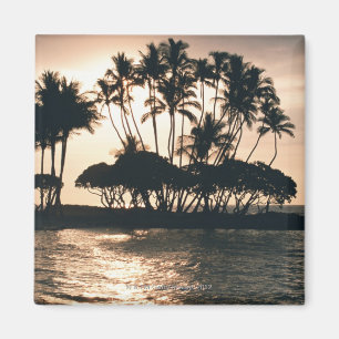 Aimant Arbre et mer