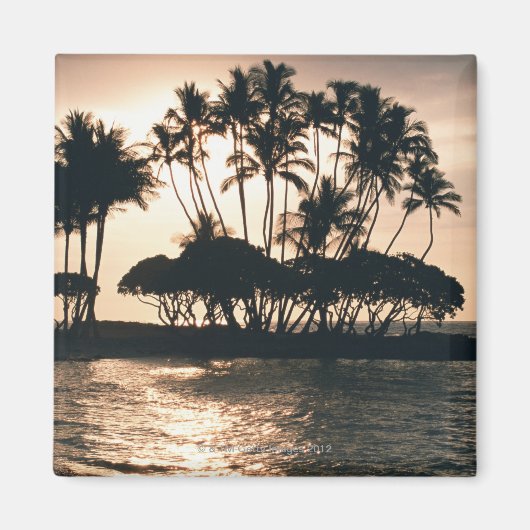 Aimant Arbre et mer (Devant)